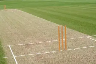 Cricket pitch